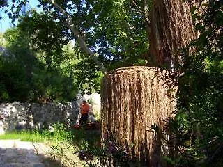 Akkaya Garden *